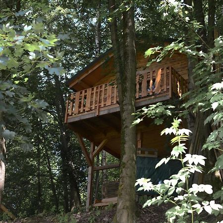 Treehouse Velke Losiny Bagian luar foto