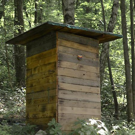 Treehouse Velke Losiny Bagian luar foto