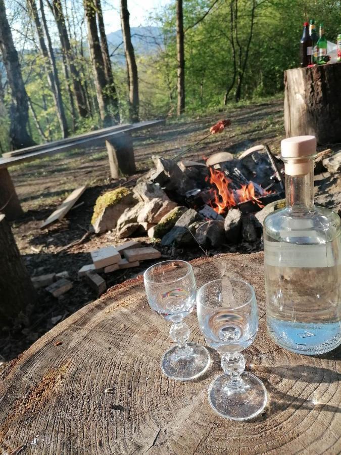 Treehouse Velke Losiny Bagian luar foto