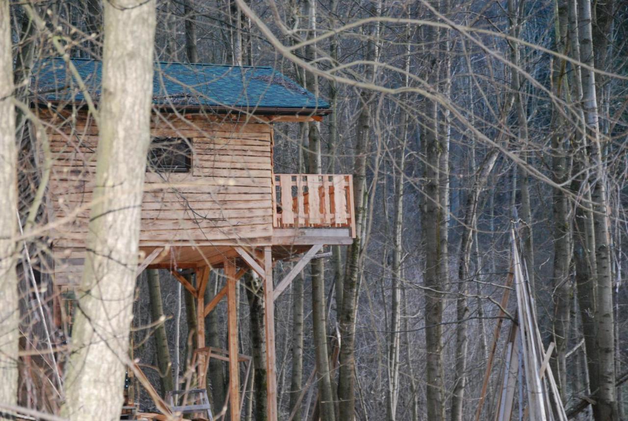 Treehouse Velke Losiny Bagian luar foto
