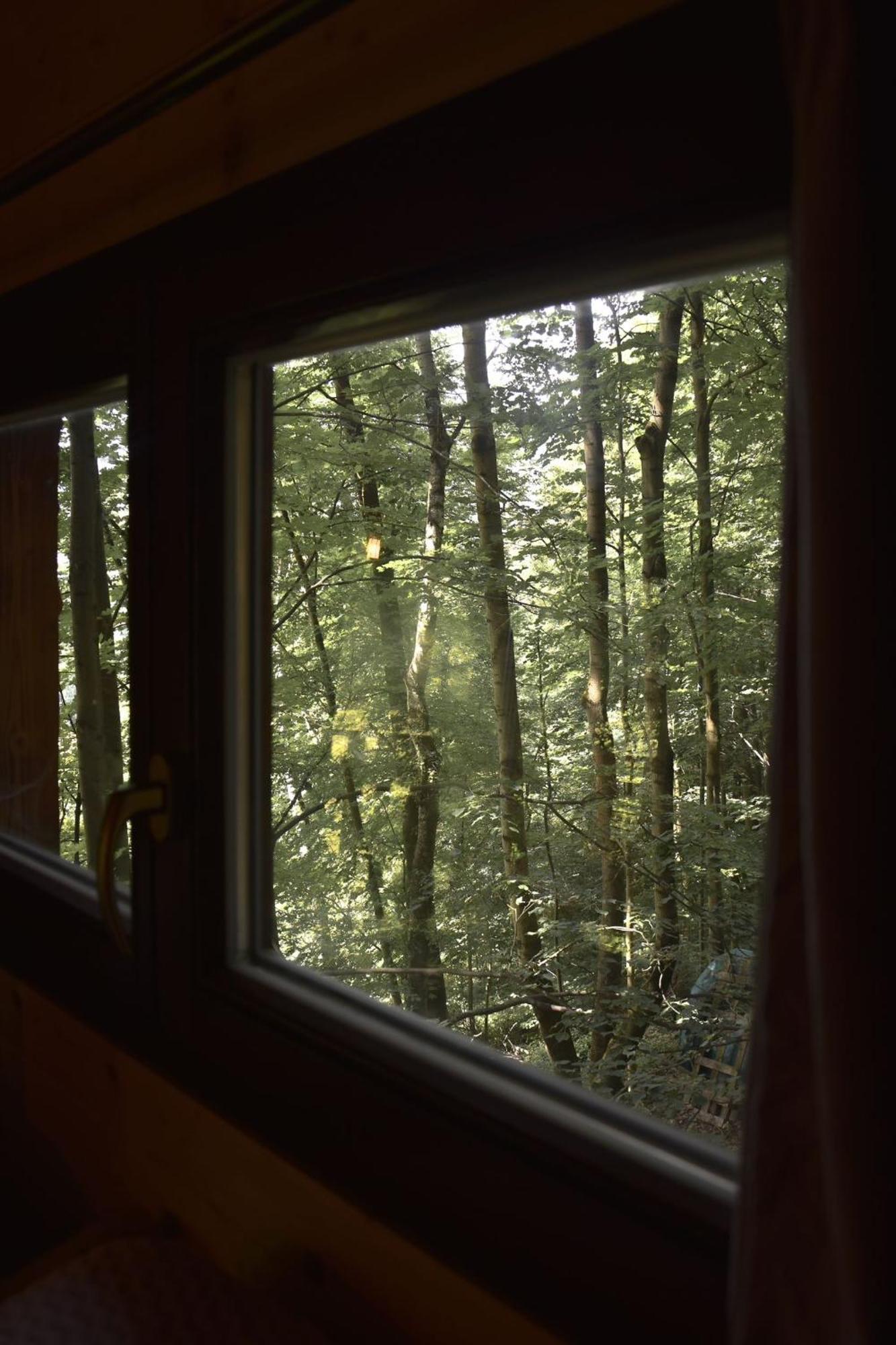 Treehouse Velke Losiny Bagian luar foto
