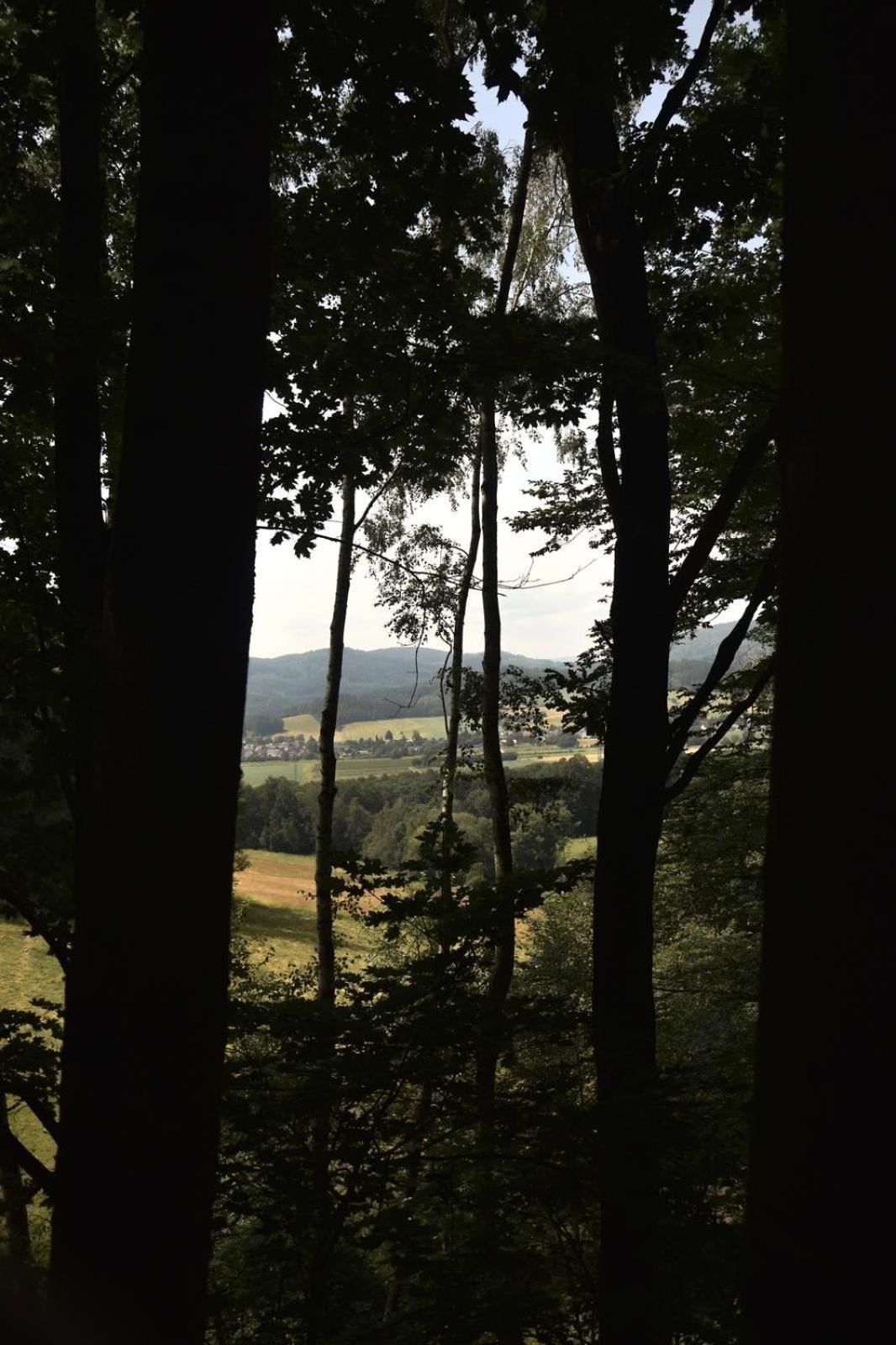 Treehouse Velke Losiny Bagian luar foto